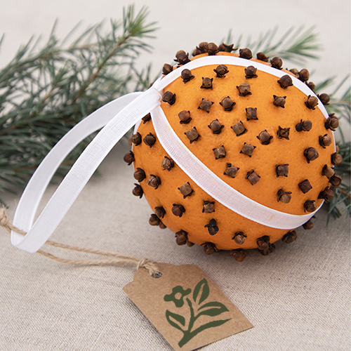 Clove-and-Orange-holiday-ball_895Sara_500x500-copy-1