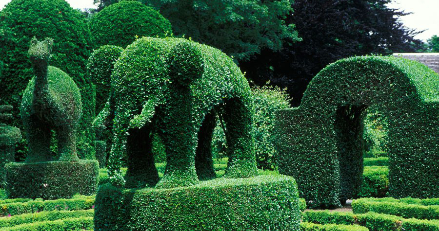 Green-Animals-Topiary-Garden