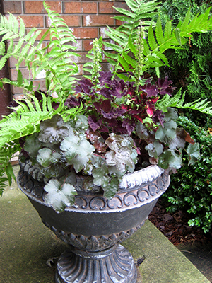 Dress Up The Porch With Ferns Be Inspired