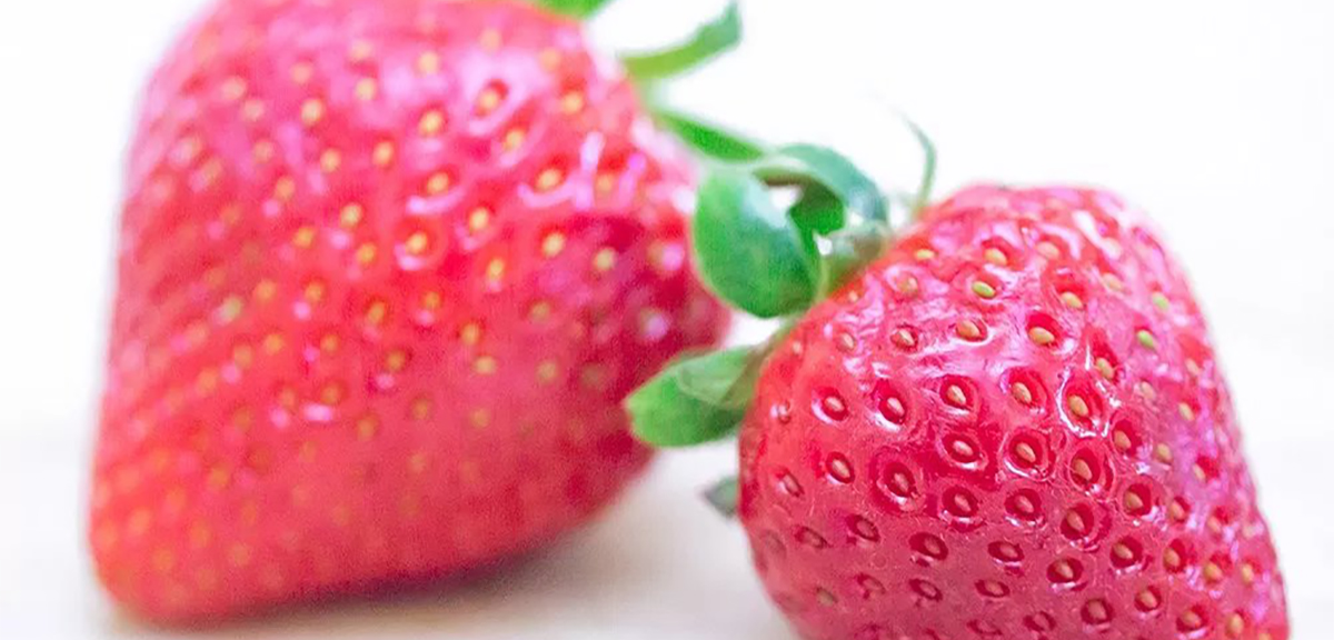 Strawberries1200x575