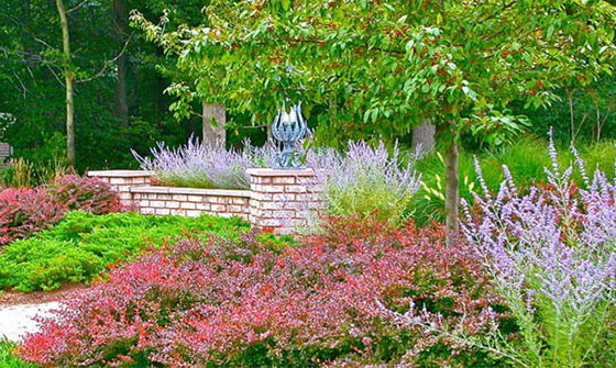 How to Use Barberry in the Landscape with these Recommendations