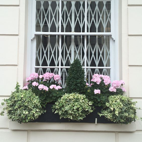 The vertical detail of the window box itself stands in for what would be something spilling.