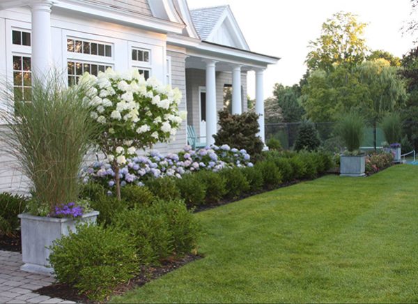 A foundation garden that has begun to bloom