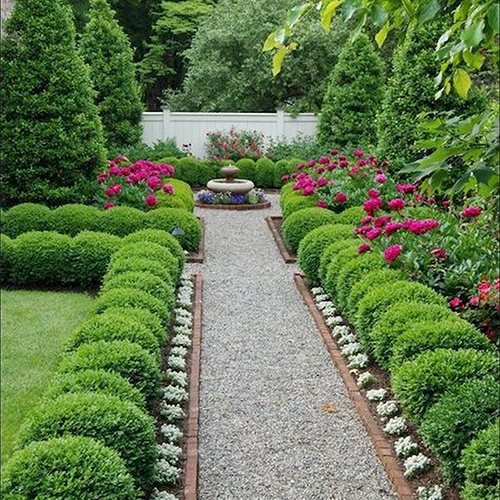 Hedged by a perfectly spaced row of boxwood globes and filled with peonies