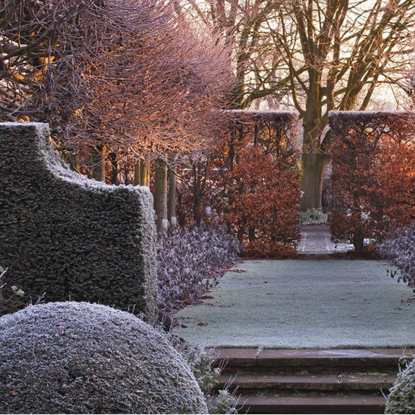 Frost covering a garden