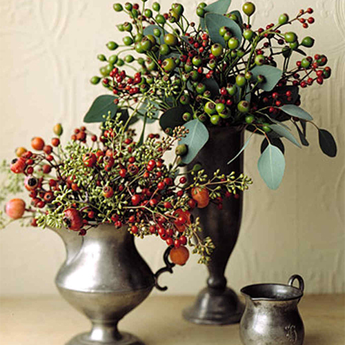 It's the Season for Foraging Colorful Rose Hips