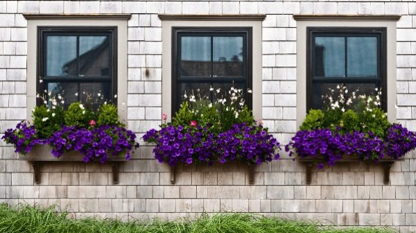 15 Fresh Ideas For Summer Windowboxes