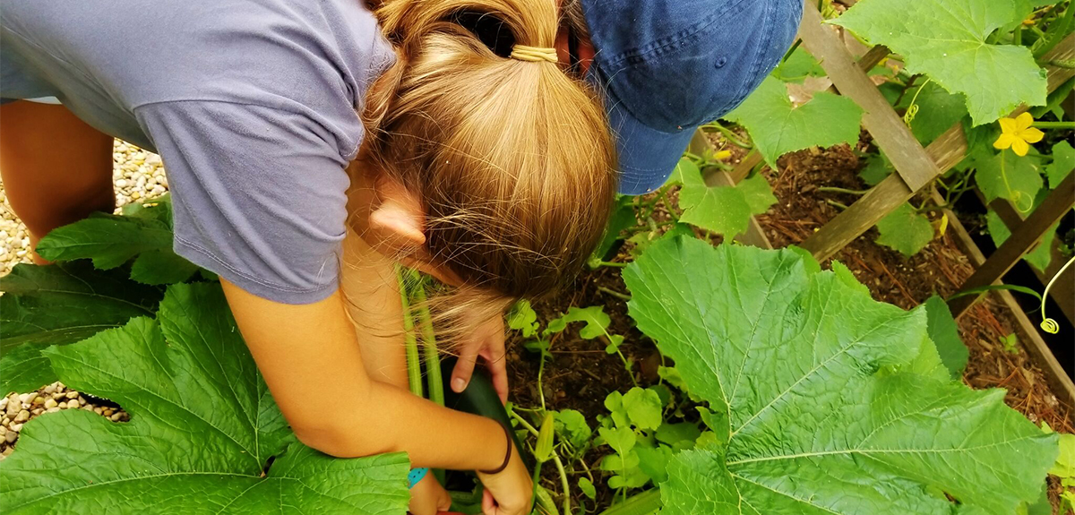 pickingveggies1200x575