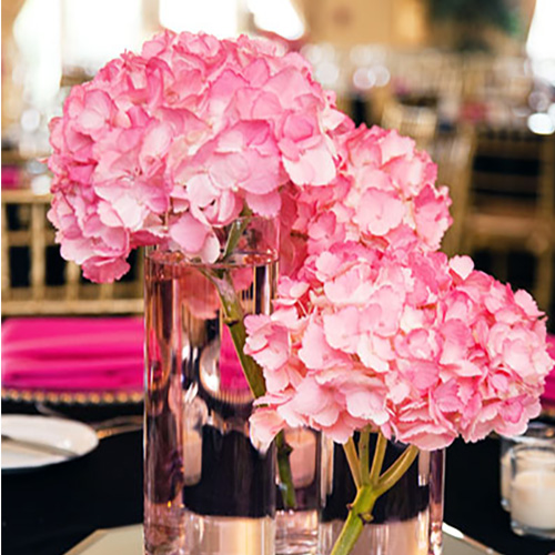 Making Arrangements Based on Your Style: Hydrangeas