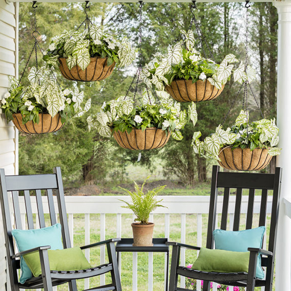 Center coir-lined metal baskets