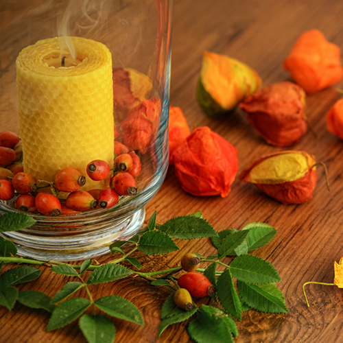 rose hips make a lovely candle filler