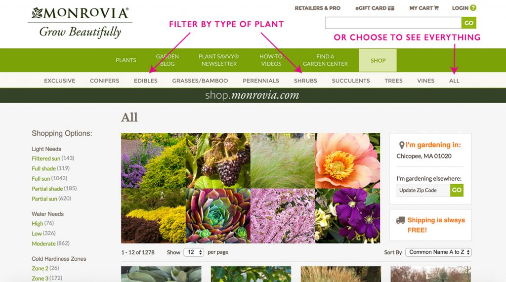 Look over the selection of plants