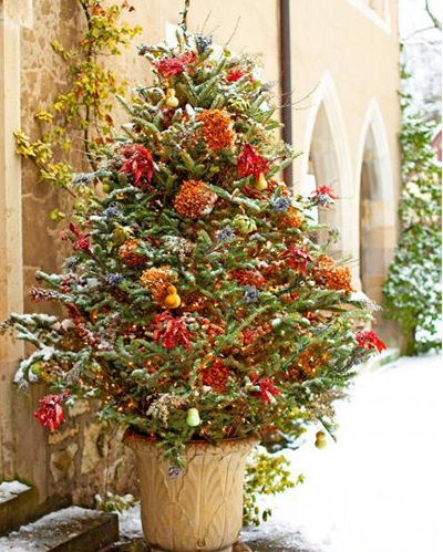 a potted cut fir tree with natural materials