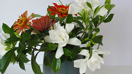 Gardenia Flower Vase