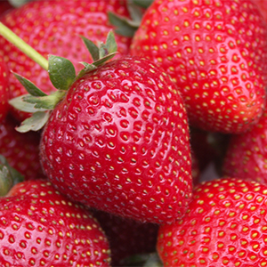 strawberry300x300 strawberry300x300