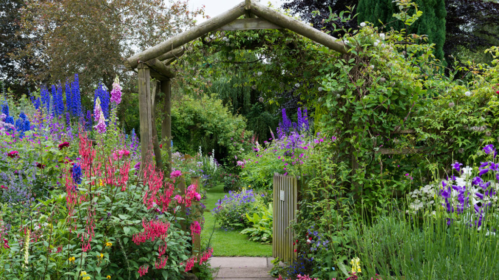 Get the Look: English Cottage Garden (Zone: 3 - 7) - Grow ...