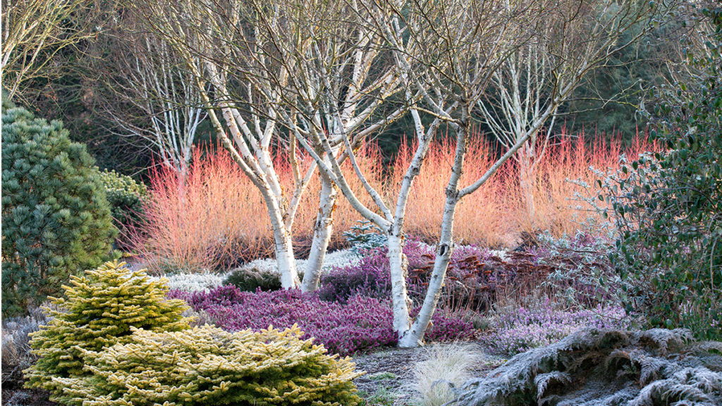 Key characteristics of the Winter Garden - Cambridge 
