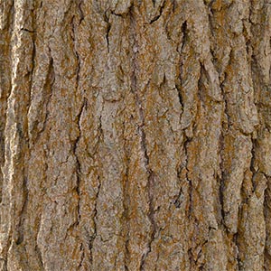 syvla300x300 syvla300x300