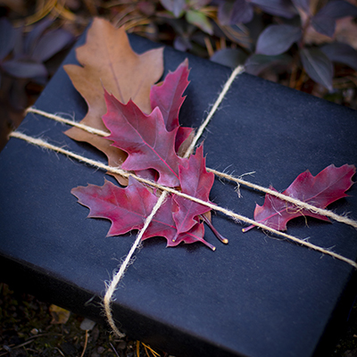 Pin Oak Leafs