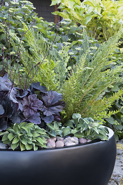Container Garden