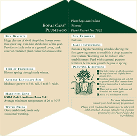 Back Label